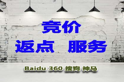 百度竞价推广案例：行业领军者成长故事